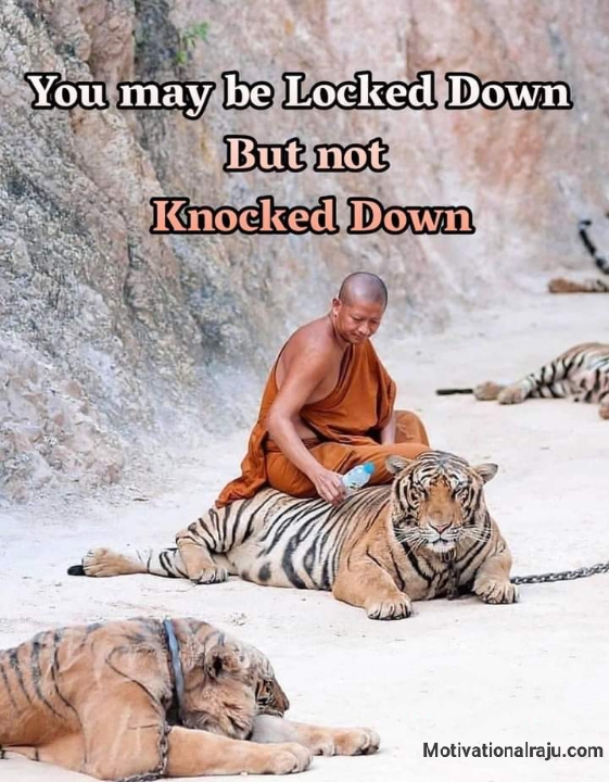 You May be Locked Down But Not Knocked Down