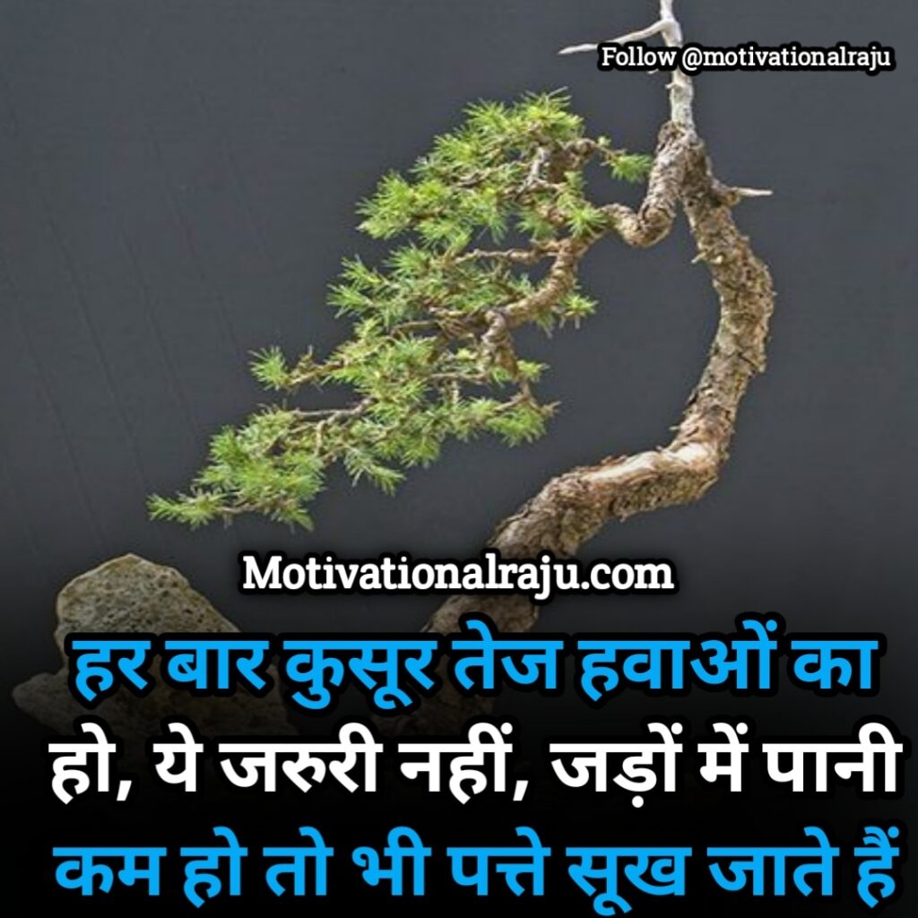 Every time there is strong wind, it is not necessary that even if there is less water in the roots, the leaves dry up.